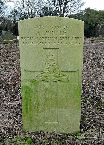 Popple Arthur 96 431x600