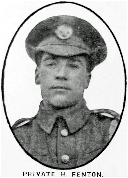 Fenton Harry 96 433x600