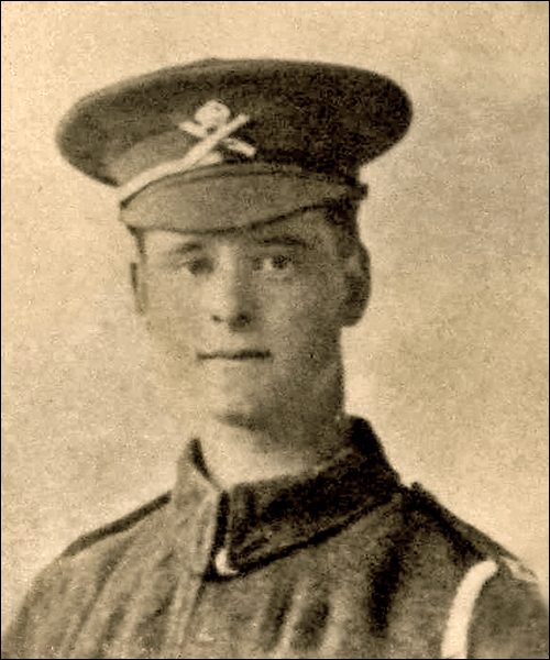 Harrington Percy 96 500x600